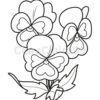 20 Unique Flower Coloring Pages - Image 3